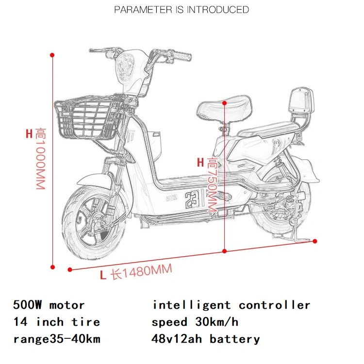 Big Power Electric Bicycle 48V Voltage Adult E Bike Electric Scooter 500W