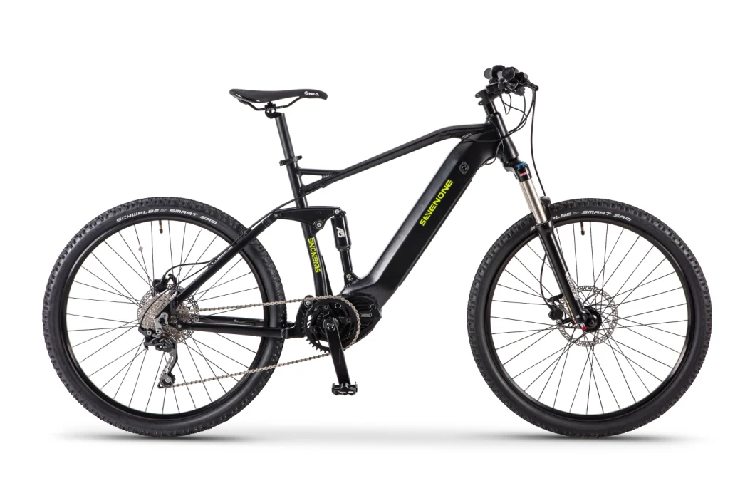 Bafang Maxdrive Motor Adult Mountain Electric Bicycle with Full Suspension