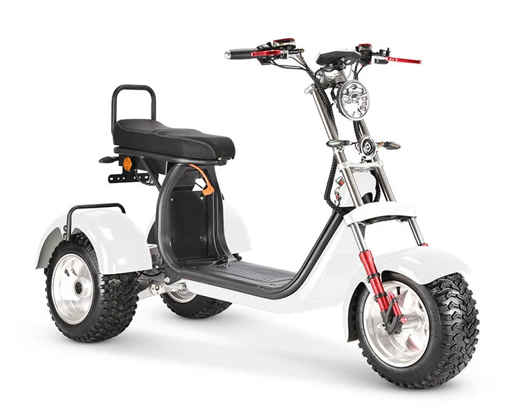 Wholesale/Manufacture EEC Coc High Power 10 Inch Fat Tire Citycoco 2000W/3000W Electric Motorcycles 3 Wheel 60V 20ah 40ah E Scooter