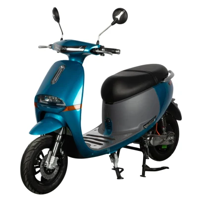 Cute Electric Scooter Design Model / 1000W High Quality Electric Motorcycle for Adult