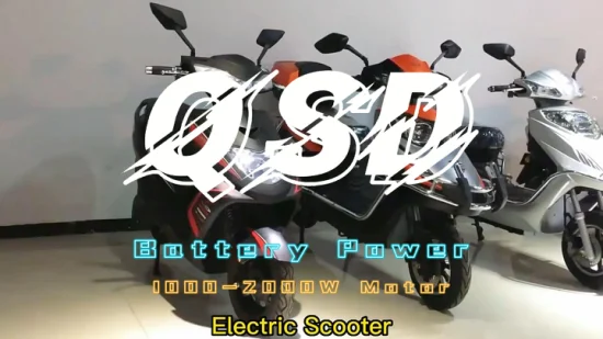 48 Voltage 1000 Watt 2 Wheels Electric Car Battery Powered Electric Scooter for Adult Personal Use