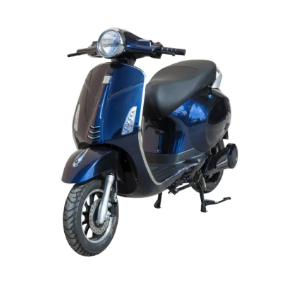 Lumax Brand City Commuting Scooter 2 Wheels Blue 1000W Electric Scooter