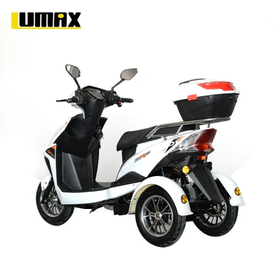 Family Adult Leisure Small Tricycle Electric White Scooter to Ferry Children to School