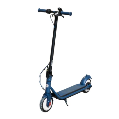 250W Battery Fashionable Blue City Commuting Shopping Scooter Electric Scooter