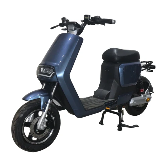 Better Quality Blue Colour 800W 1000W Electric Scooter for Adult