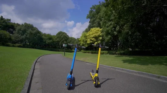 Fd04 Foldable Yellow and Blue Electric Scooter