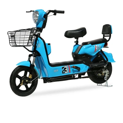 Big Power Electric Bicycle 48V Voltage Adult E Bike Electric Scooter 500W