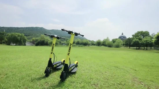 Speed 29km Good Quality Stylish Yellow-Black Foldable Electric Scooter