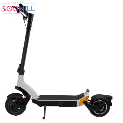 Cardboard Packaging White Mountain 1000W Bike High Quality 10 Inch Cst Tubeless Tyre Electric Scooter