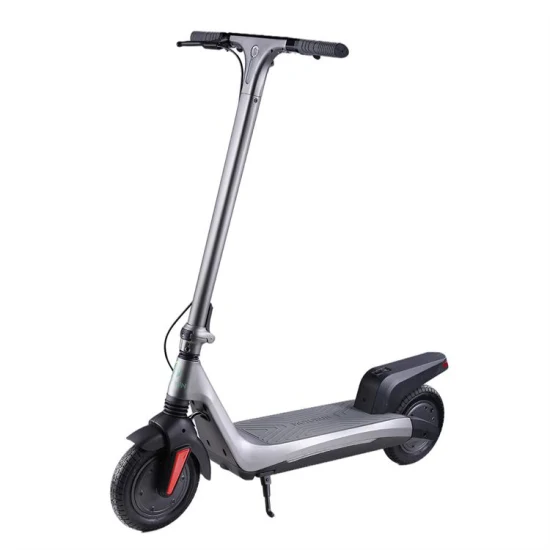 Adult 2 Motor Fast Lithium Battery Electric Scooter