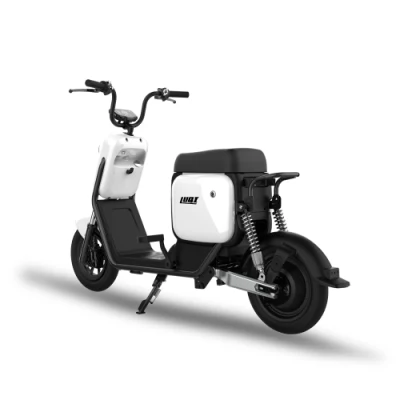 2021 Coming Soon Hot Model High Strength Frame Cute Electric Citycoco with Turning Signal Light