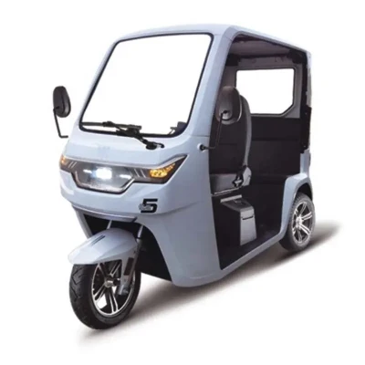 New Model EEC Semi-Enclosed Electric Three-Wheel for Hot Sale